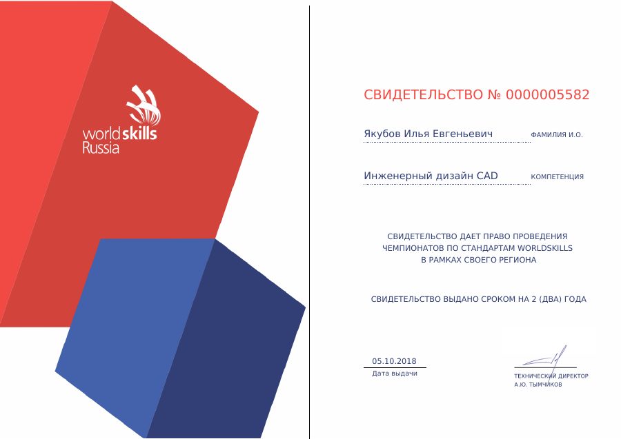 WorldSkills regional expert certificate